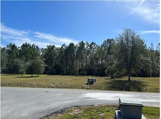 0 SW 869th Loop, Steinhatchee, FL 32359