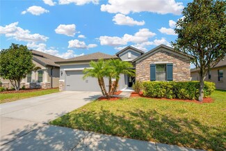 867 Vino Verde Cir, Brandon, FL 33511