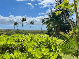 50 Kepuhi Place Unit 117, Maunaloa, HI 96770