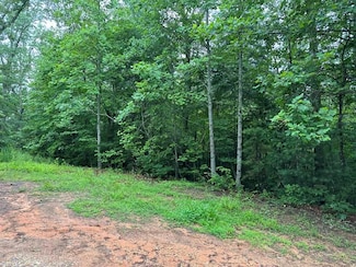 TBD Lower Tuskeegee Rd, Robbinsville, NC 28771