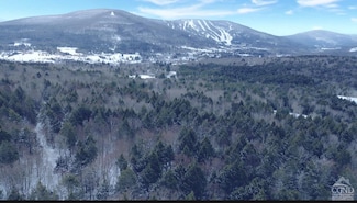 65 Sundance Dr, Windham, NY 12496