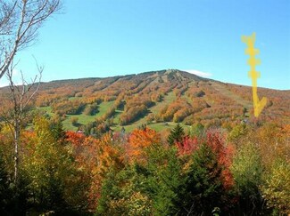 8 Freestyle Cir Unit 5, West Dover, VT 05356