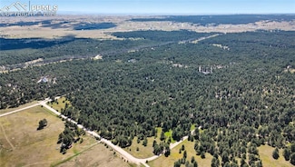 18400 Black Squirrel Rd, Black Forest, CO 80908