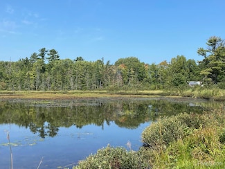 00 E State Highway M35, Little Lake, MI 49833