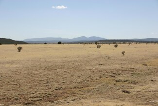 VL Lexco Rd, Moriarty, NM 87035