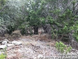 0 Fawn River Dr Unit ACT6298542, Spring Branch, TX 78070