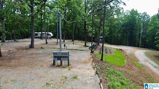 133 Lake Breeze Ln, Wedowee, AL 36278