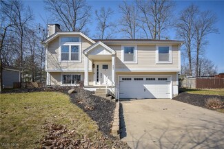 280 Broken Fence Dr, Medina, OH 44256