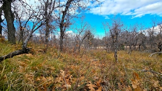 138 E Oak Ridge Dr, Mount Pleasant, UT 84647