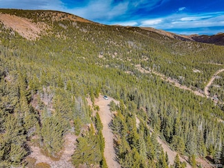 111 Hilltop Rd, Idaho Springs, CO 80452