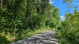 0 Wolf Hill Rd Unit RTC2868004, Bethpage, TN 37022