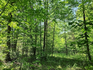 0 Marsh Rd, Erin, NY 14838