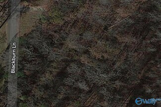 Lot 18 Blackburn Ln, Athens, AL 35611
