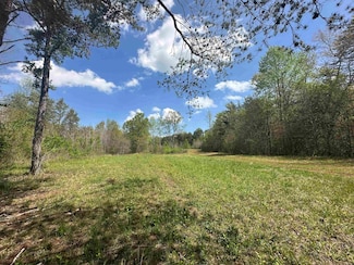 390 Old Mill Rd, Chesnee, SC 29323