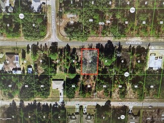 2256 W Galaxy Ln, Citrus Springs, FL 34434