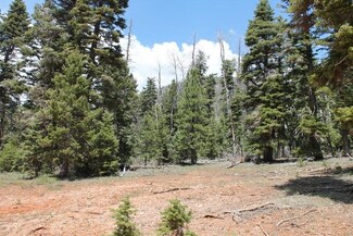 5540 W North Fork Rd, Duck Creek Village, UT 84762
