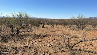 372 Calle Buzo -- Unit 88, Rio Rico, AZ 85648