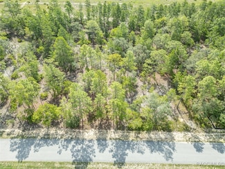 7 Fringetree Ct, Homosassa, FL 34446