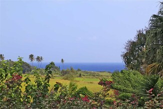 0 Kapia Rd Unit 25 370989, Hana, HI 96713