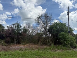 209 Bald Cypress Ave, Montura, FL 33440