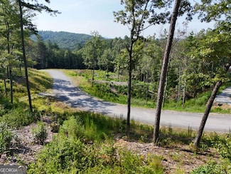 LOT 3 Mountain Laurel Ridge, Mineral Bluff, GA 30559