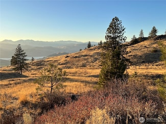 0 Lot 41 Homestead Spur Rd, Oroville, WA 98844