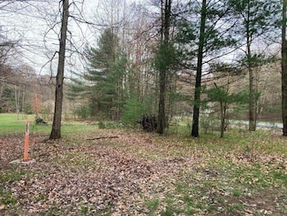 0 V L 192nd Ave, Big Rapids, MI 49307