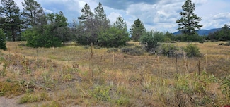 19 E Crescent Ct, Pagosa Springs, CO 81147