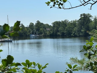 46 & 47 Forest Ln, Lancaster, VA 22503