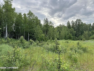 0000 Wesleyan Dr, Anchorage, AK 99508