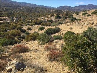 0 S Palm Canyon Dr Unit JT19268233, Mountain Center, CA 92561