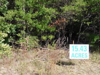 15.43 Elkhorn Rd, Java, VA 24565