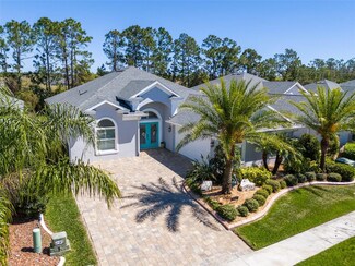 3045 Borassus Dr, New Smyrna Beach, FL 32168