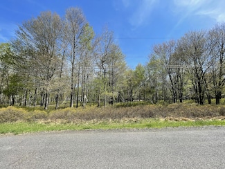 0 Forest Hill Dr Unit PM-132140, Blakeslee, PA 18610