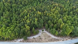 4439 Old Hohenwald Rd, Linden, TN 37096