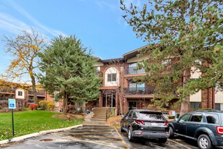 13931 James Dr Unit 811, Crestwood, IL 60445