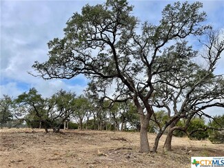 1137 Madrone Rd, Fischer, TX 78623