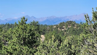 TBD L 43rd Trail, Cotopaxi, CO 81223