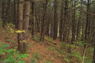 TBD Julia Simpkins Rd, Hiwassee, VA 24347