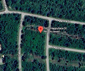 7425 Happyface St, Sebring, FL 33872