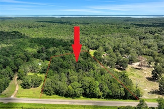 TBD Texas 156, Coldspring, TX 77331