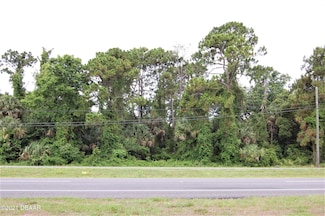 0 Us Hwy 1 Unit 1084850, Oak Hill, FL 32759