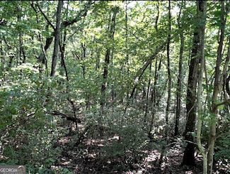 1502 Raspberry Ln, Clarkesville, GA 30523