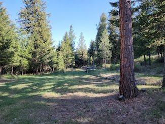 51 Trapline Loop Rd, Oroville, WA 98844