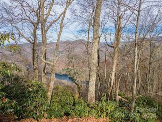 520 Morningside Dr Unit 51, Tuckasegee, NC 28783