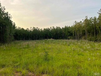 0001 Steele Meadow Dr, Milton, FL 32571