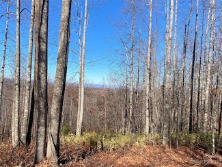 TBD Meditation Ridge Drive Extension Unit 43, Nebo, NC 28761