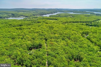 LOT 1 Thomas Cir, 1, Swanton, MD 21561
