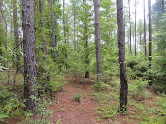 0 County Road 54, Tazewell, GA 31803