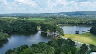 411 Dr Jenkins Ln, Altoona, AL 35952